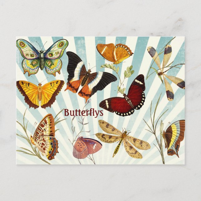 Carte Postale Papillons (Devant)