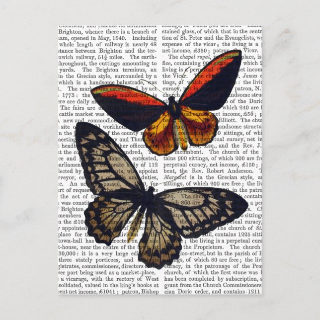 Carte Postale Papillons 3 (Devant)