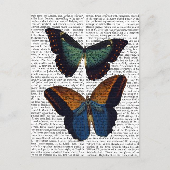 Carte Postale Papillons 5 (Devant)