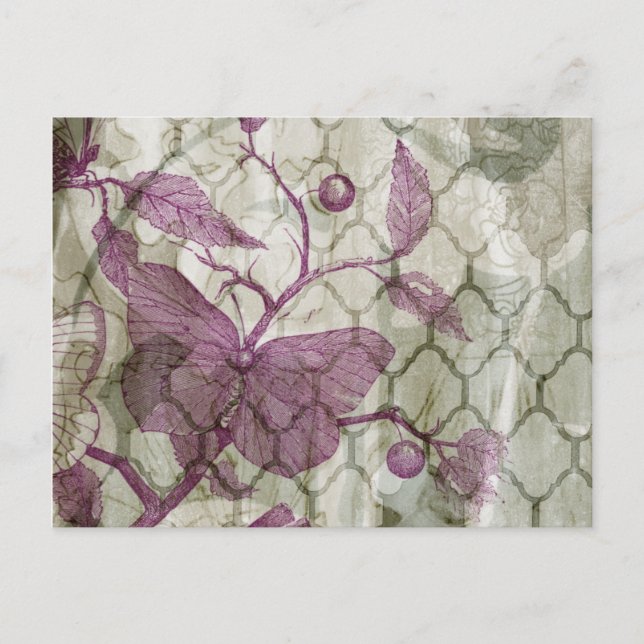 Carte Postale Papillons arabes III (Devant)