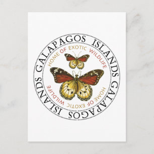 Carte Postale Papillons des îles Galapagos