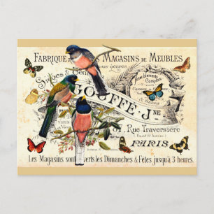 Carte Postale Papillons et oiseaux vintage sur une annonce franç