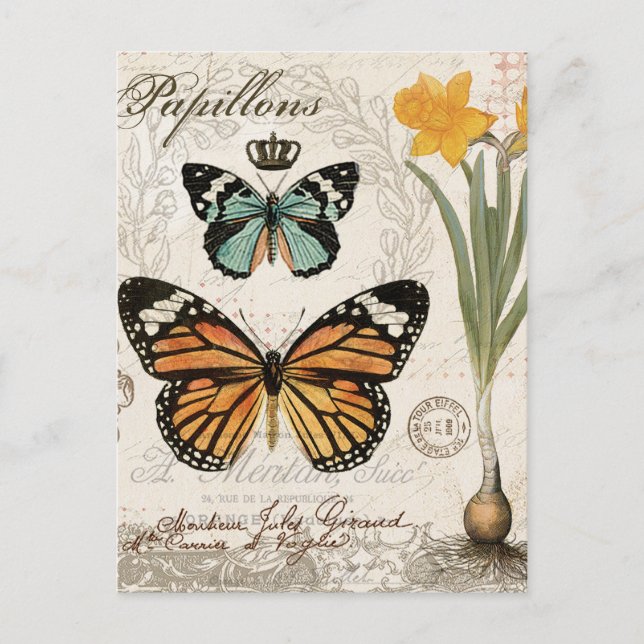 Carte Postale Papillons français vintages (Devant)