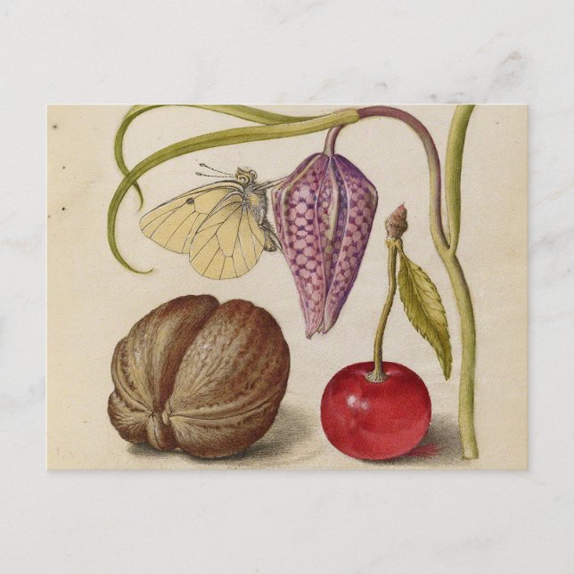 Carte Postale Papillons noix Fleur Cerisier Aquarelle Art (Devant)