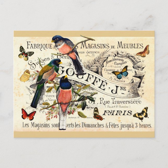 Carte Postale Papillons & Oiseaux de Collection sur une Annonce  (Devant)