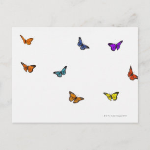 Carte Postale Papillons volants