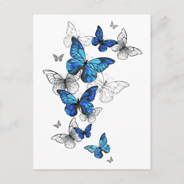 Carte Postale Papillons volants bleus Morpho (Devant)