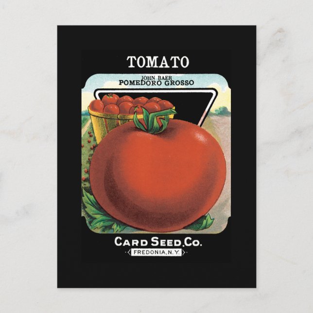 Carte Postale Paquet de graines de tomate (Devant)