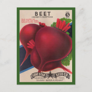 Carte Postale Paquet de semences de betteraves des années 1950