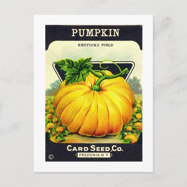 Carte Postale Paquet de semences de citrouille d'Halloween Vinta (Devant)