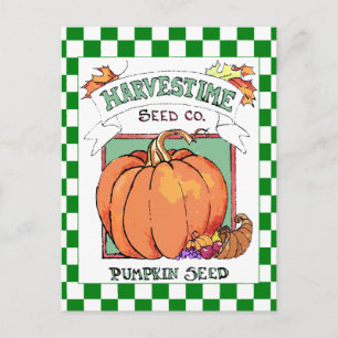 Carte Postale Paquet de semences de récolte de citrouille-automn