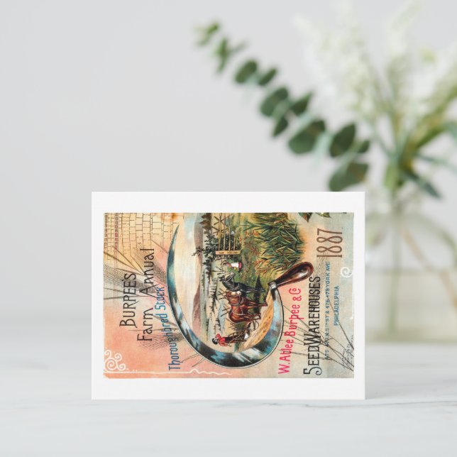 Carte Postale Paquet de semences vintage. (Debout devant)