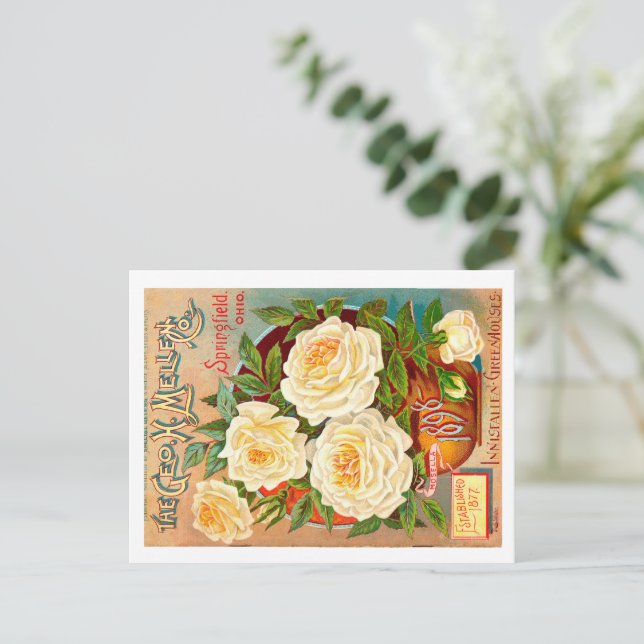 Carte Postale Paquet de semences vintage. (Debout devant)