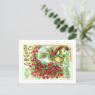 Carte Postale Paquets de semences.