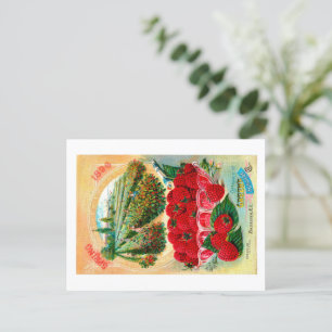 Carte Postale Paquets de semences.