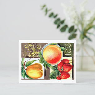 Carte Postale Paquets de semences.