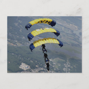Carte Postale Parachutes Skydiving