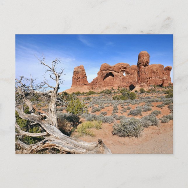 Carte Postale Parade des éléphants au Parc national des Arches (Devant)