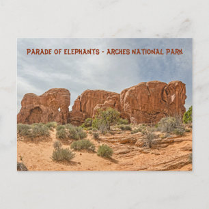 Carte Postale Parade des éléphants - Parc national des Arches