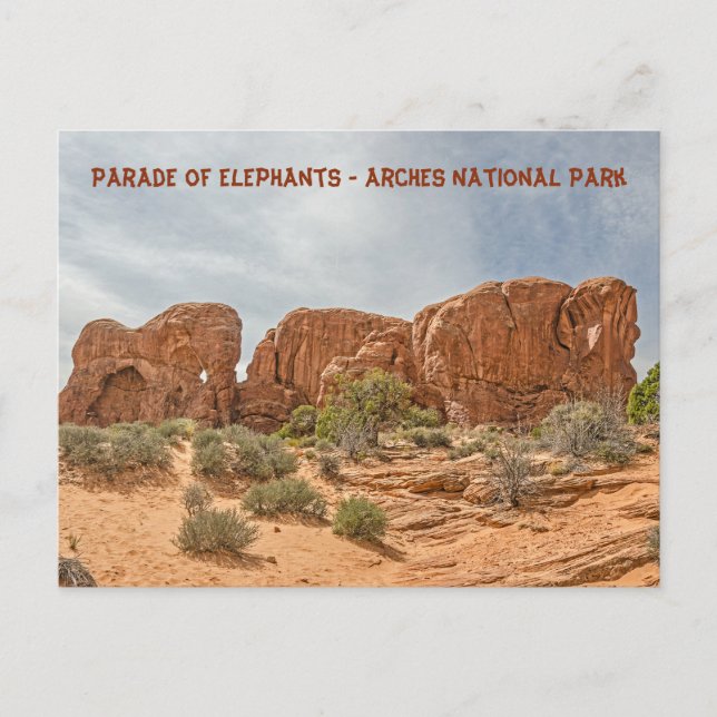 Carte Postale Parade des éléphants - Parc national des Arches (Devant)