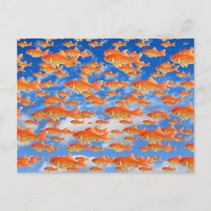 Carte Postale Paradis des poissons rouges