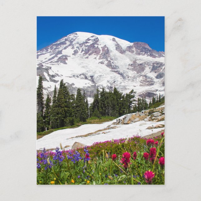 Carte Postale Paradis Mt. Rainer (Devant)