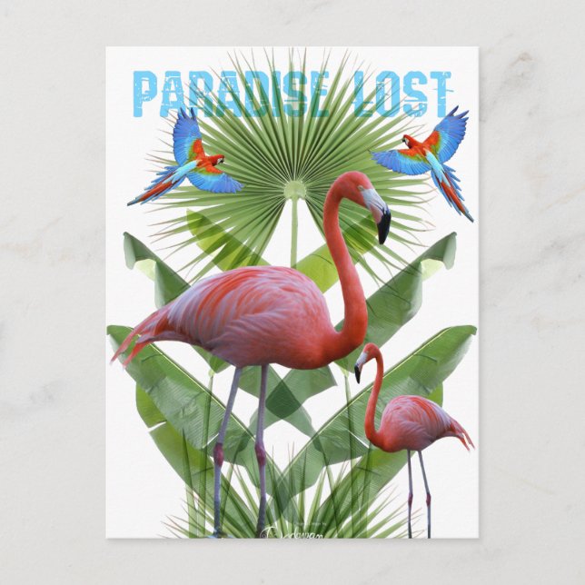Carte Postale Paradis perdu (Devant)