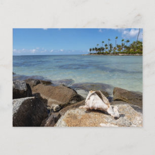 Carte Postale Paradis tropical