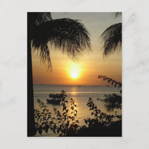 Carte Postale Paradis tropical