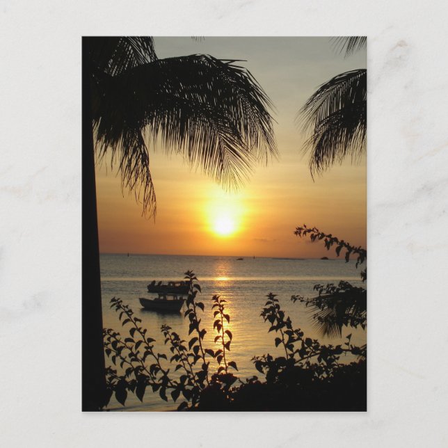 Carte Postale Paradis tropical (Devant)