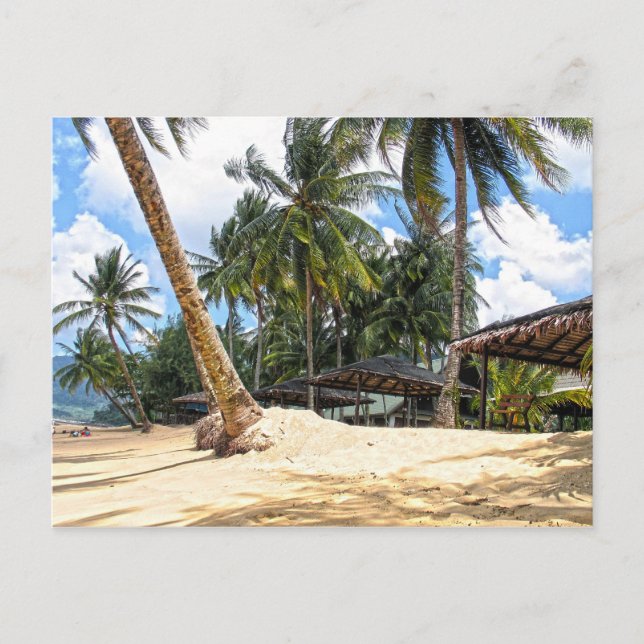 Carte Postale Paradis tropical (Devant)
