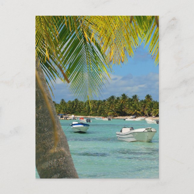 Carte Postale Paradis tropical des Caraïbes (Devant)
