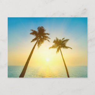 Carte Postale Paradis tropical idyllique