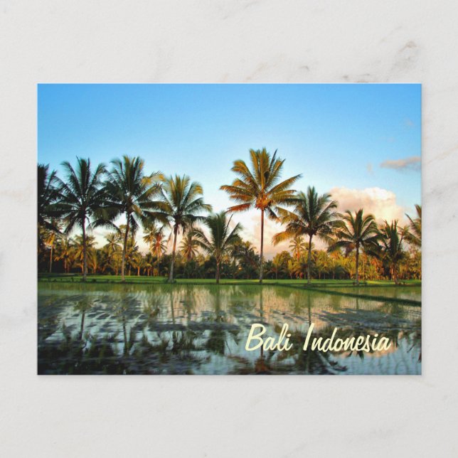 Carte Postale Paradise Photo Palmiers tropicaux Bali Indonésie (Devant)