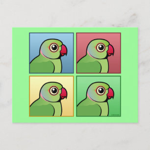 Carte Postale Parakeet à anneau Rose couleur quatre