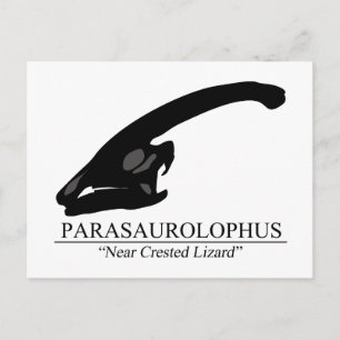 Carte Postale Parasaurolophus
