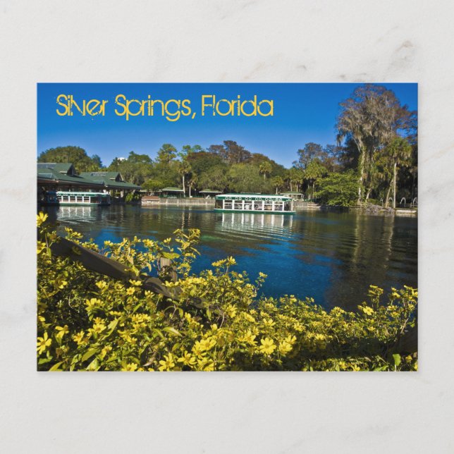 Carte Postale Parc à thème Silver Springs Nature, Floride, États (Devant)