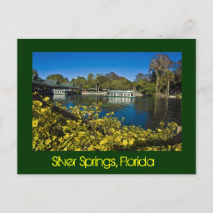 Carte Postale Parc à thème Silver Springs Nature, Floride, États