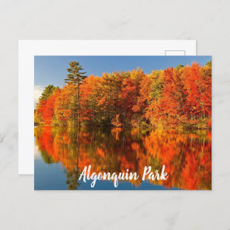 Carte Postale Parc Algonquin Canada Automne stylisé