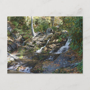 Carte Postale Parc commémoratif Bobby McLean #5, Newland, Caroli