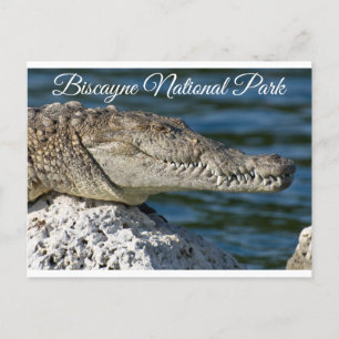 Carte Postale Parc de Biscayne Bay Miami Beach Florida Postcard