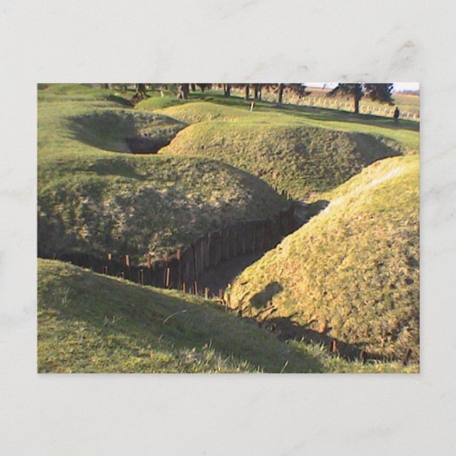 Carte Postale Parc de Trenches Newfoundland (Devant)