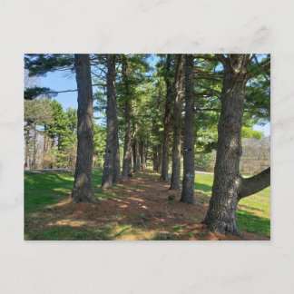 Carte Postale Parc Deis Hill, Dover, Ohio