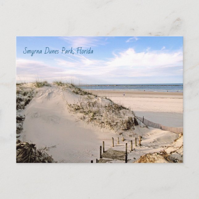 Carte Postale Parc des dunes de plage de Floride Ponce Inlet Car (Devant)