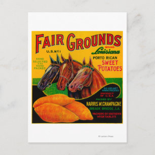 Carte Postale Parc des expositions Yam Label Breaux Bridge, LA
