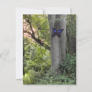 Carte Postale Parc des papillons