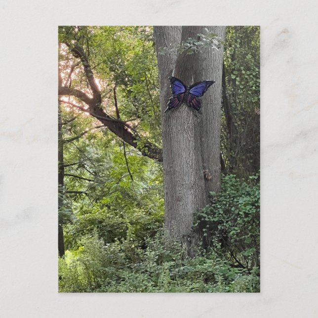 Carte Postale Parc des papillons (Devant)