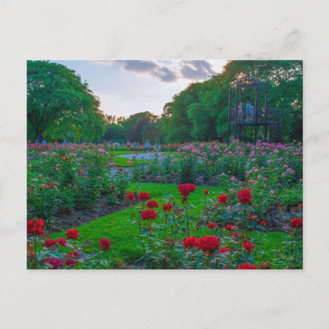 Carte Postale Parc des Roses, Columbus, Ohio (Devant)