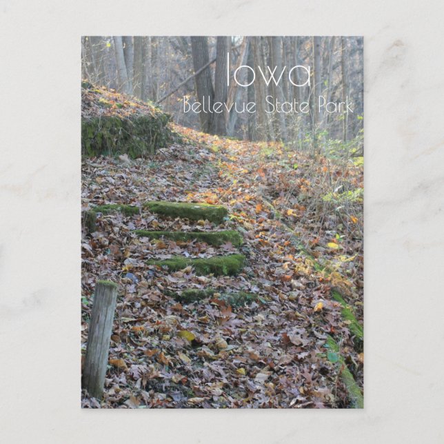 Carte Postale Parc d'état de Bellevue (Devant)