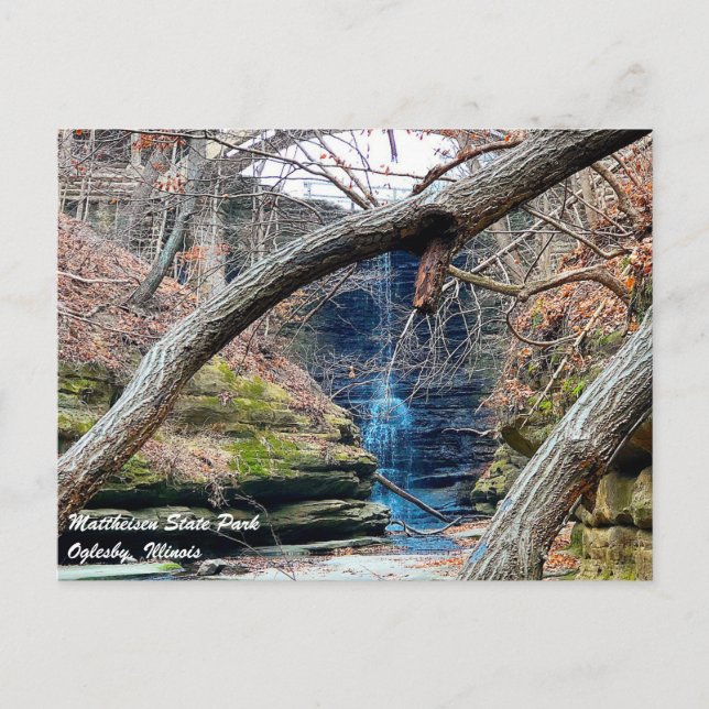 Carte Postale Parc d'état de Matthiessen Illinois (Devant)